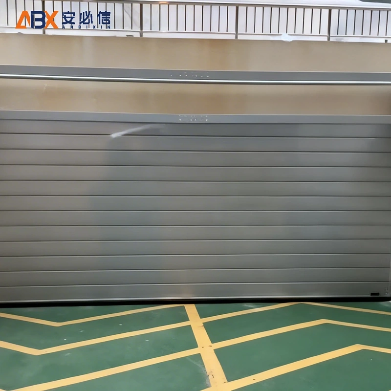 眉山市感应高速门